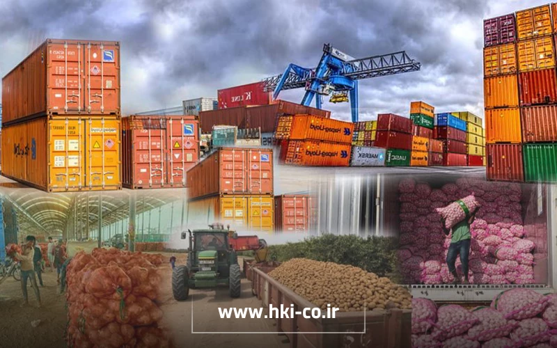 بررسی تفاوت‌های صادرات فله‌ای و بسته‌بندی شده محصولات کشاورزی، مزایا و چالش‌های هر روش و تأثیر آن بر ارزش افزوده و بازارهای صادراتی