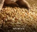فرآیند ترخیص کالا از گمرک با بررسی اسناد بازرگانی و کانتینرهای حمل‌ونقل در بندر