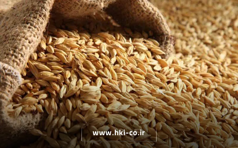 فرآیند ترخیص کالا از گمرک با بررسی اسناد بازرگانی و کانتینرهای حمل‌ونقل در بندر
