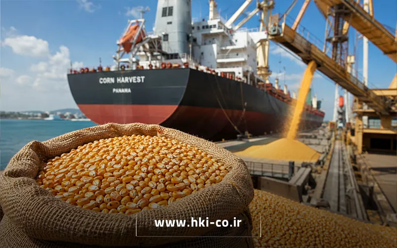 راهنمای جامع و چالش‌های واردات ذرت دامی به کشور